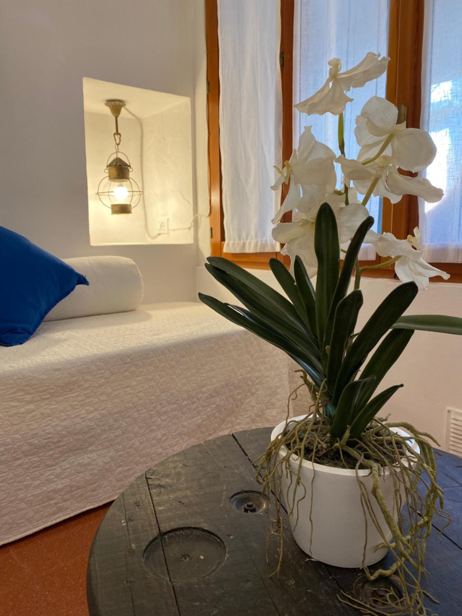 La Verde Di Vernazza - Art Studio - Ac&Wifi - Vernazzarentals Buitenkant foto